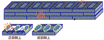 二級建造師建筑工程第六講主體結(jié)構(gòu)工程施工技術(shù)：砌體結(jié)構(gòu)工程